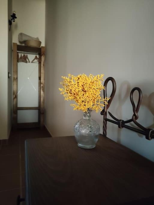 Apartmán La Casa De La Abuela Amalia Arenas de San Pedro Exteriér fotografie